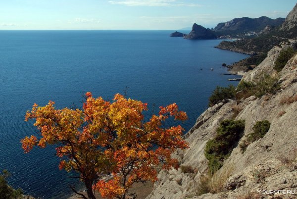 Оренбург,Маяк осень