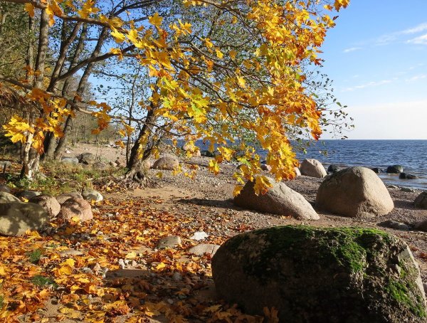 Осеннее море