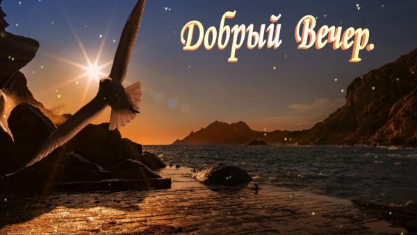 Добрый морской вечер