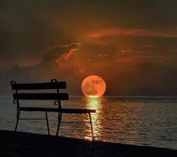 Сидела рядом тишина и понимающе