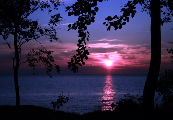 Спокойной летней ночи