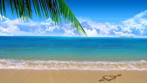 Море пляж пальмы