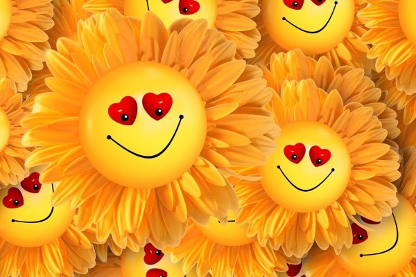 Диана Курочкина