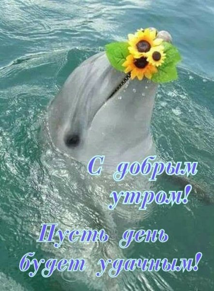 Оптимистичные пожелания