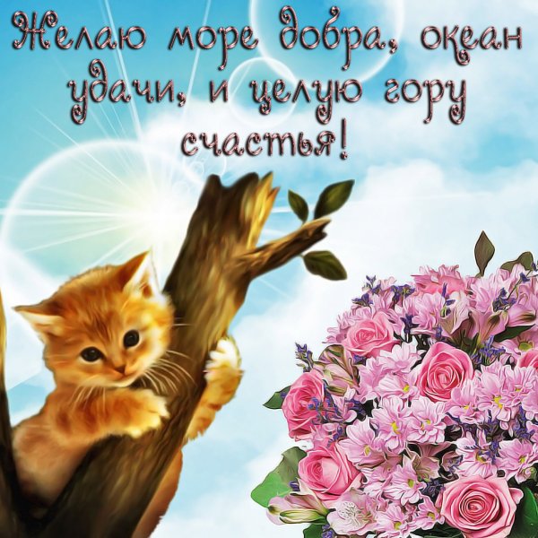 Открытка "удачи!"