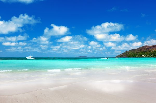 Пейзаж море пальмы