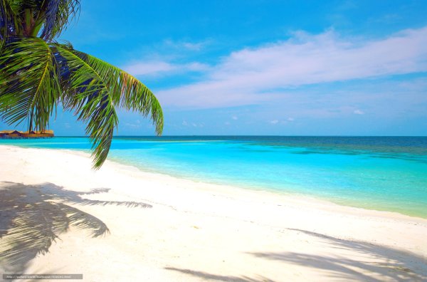 Красивая пряжа