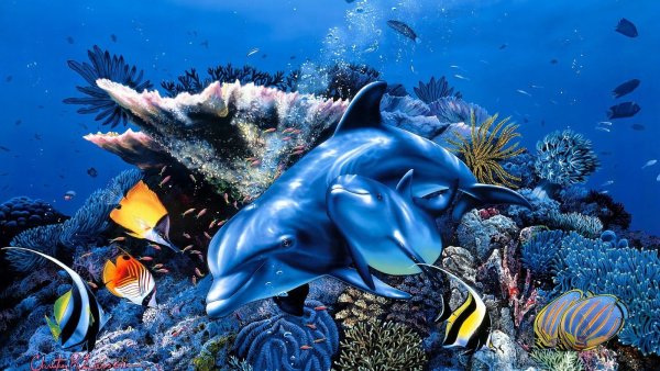 Обои на рабочий стол рыбки