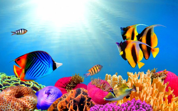 Морской коврик для мыши