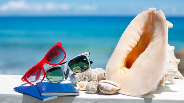 Ракушки морские