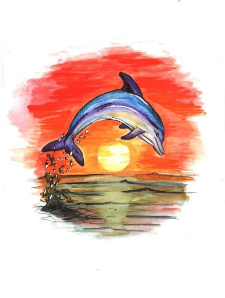 Дельфин в море рисунок