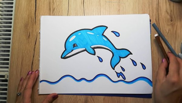 Беломордый Дельфин раскраска