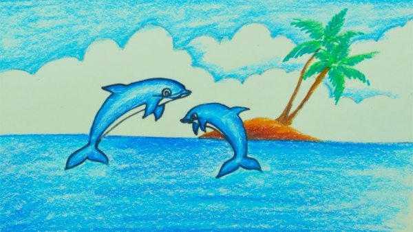 Рисунок дельфина карандашом