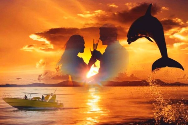 Дельфины на закате