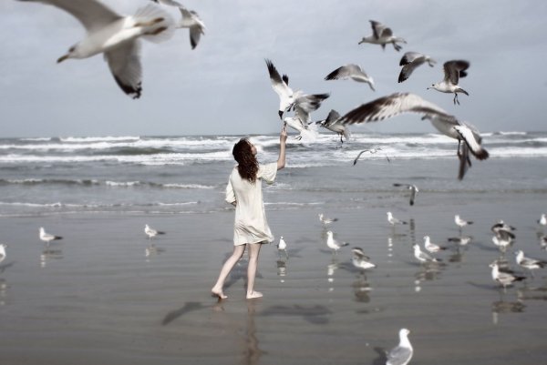 Девушка на берегу моря птицы