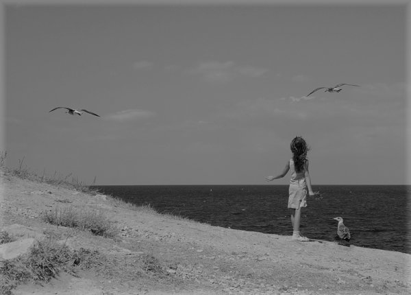Девушка море Чайки