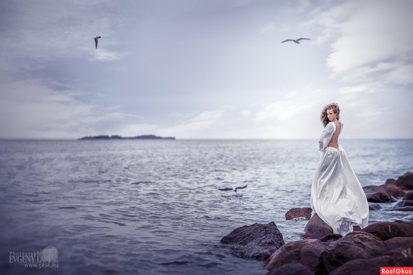 Чайки и люди