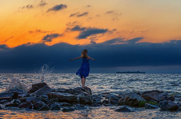 Девушка море Чайки