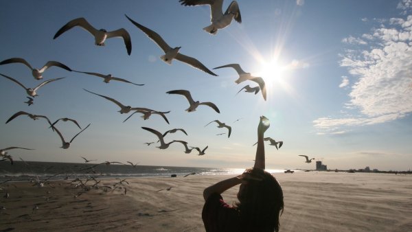 Девушка и море живопись