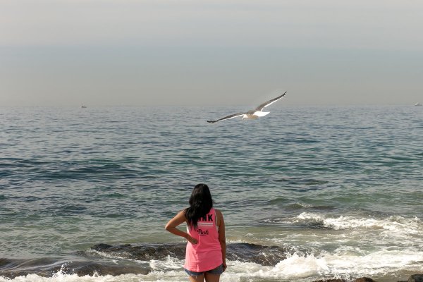 Девушка и Чайки