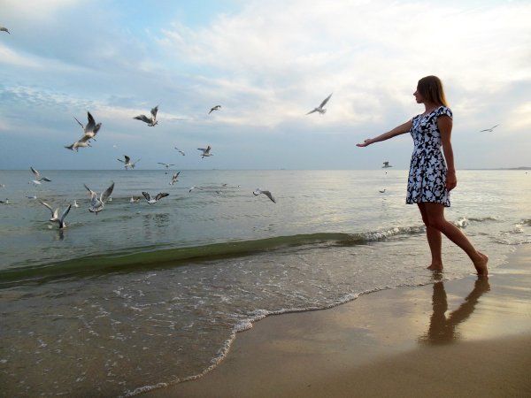 Фотосессия с чайками на море