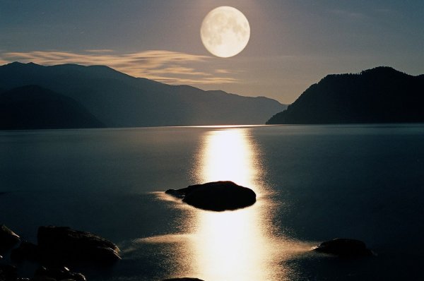 Лунная ночь