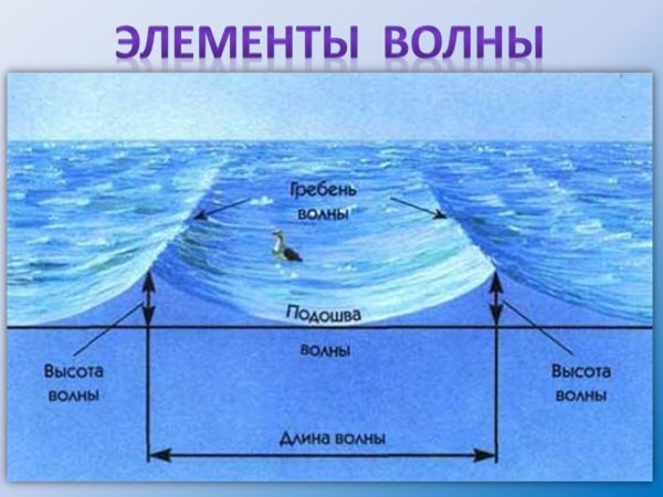 Движение вод мирового океана 6 класс география