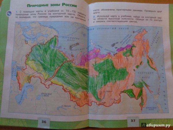 Окружающий мир 4 класс рабочая тетрадь 1 часть природные зоны России