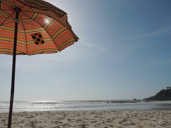 Крым пляж с зонтиками