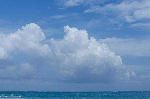 Море саммер аниме