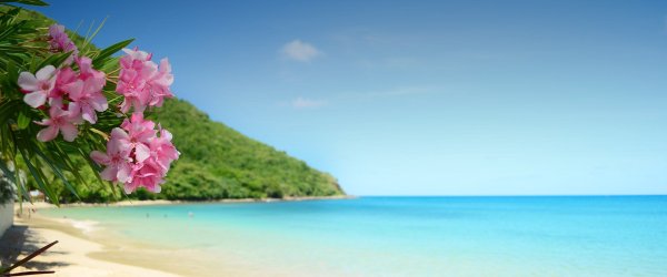 Тайланд цветы и море