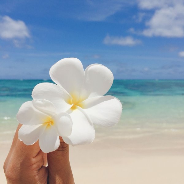 Необычные букеты