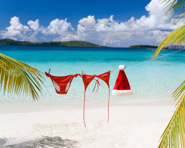 Новогодняя елка на море