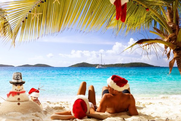 Елка на берегу моря