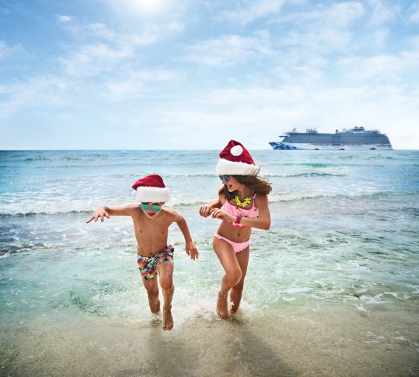 Сочи пальмы зимой