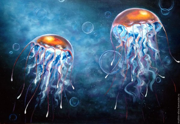 Медуза арт