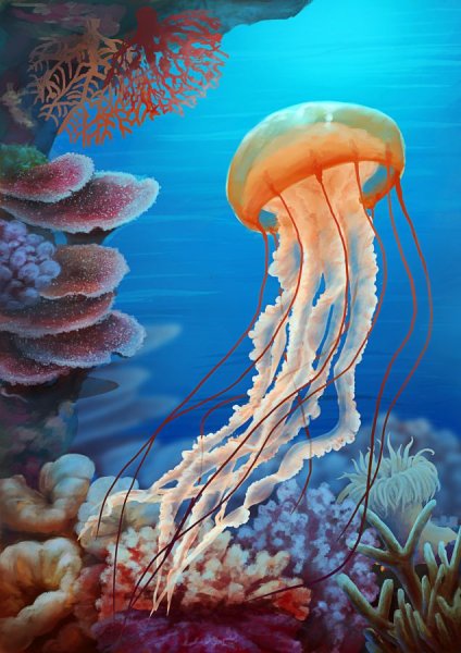 Обитатели Средиземного моря медузы