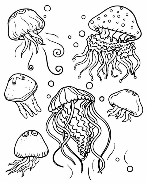 Много медуз