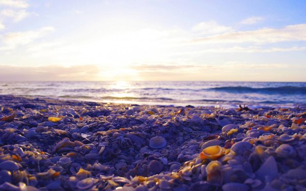 Море песок Горизонт