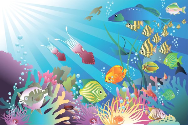 Подводный мир для детей