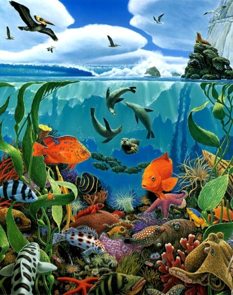 Обитатели морского дна