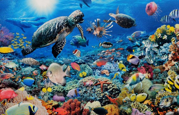 Рисование для детей подводный мир