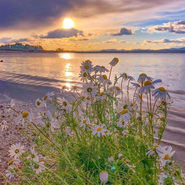 Вино на море вечером