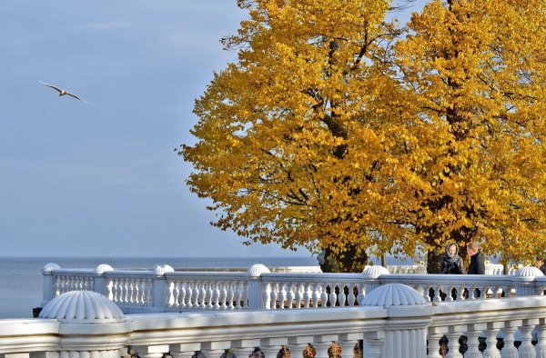 Геленджик набережная осень