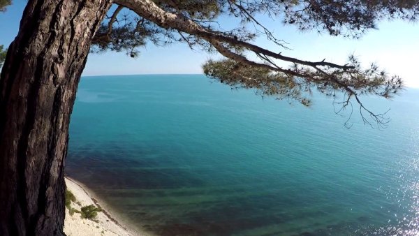 Дивноморское зеленый мыс