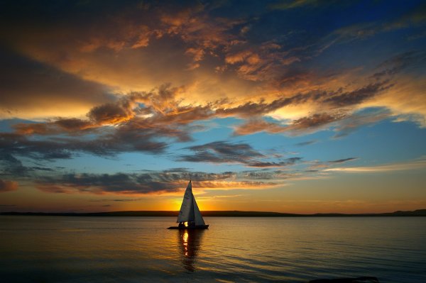 Парусные яхты