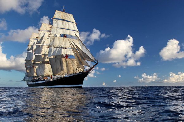 Royal Clipper регата