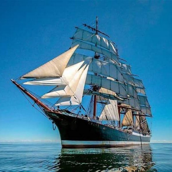 Море пляж пальмы