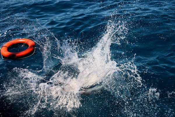 Человек за бортом корабля