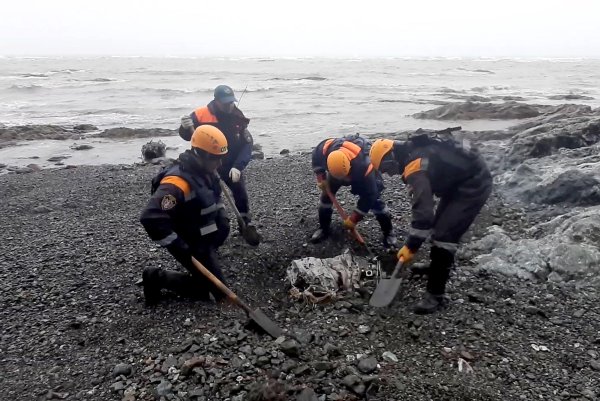 Выбраться из воды